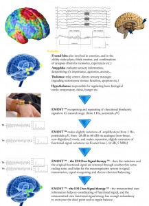 01-The EMOST and the brain activity-sm